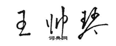 骆恒光王帅琴草书个性签名怎么写