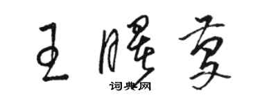 骆恒光王曙庆草书个性签名怎么写