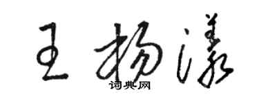 骆恒光王杨漾草书个性签名怎么写