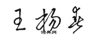 骆恒光王杨春草书个性签名怎么写