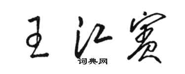 骆恒光王江宾草书个性签名怎么写
