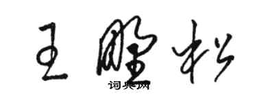骆恒光王野松草书个性签名怎么写