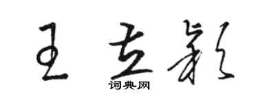 骆恒光王立颖草书个性签名怎么写