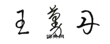 骆恒光王蔓丹草书个性签名怎么写