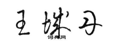 骆恒光王城丹草书个性签名怎么写