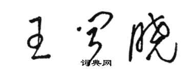 骆恒光王闻晓草书个性签名怎么写