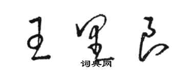 骆恒光王里良草书个性签名怎么写