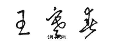 骆恒光王寒春草书个性签名怎么写