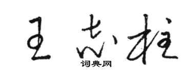 骆恒光王志柱草书个性签名怎么写