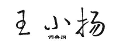 骆恒光王小扬草书个性签名怎么写