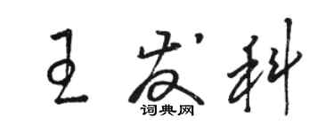 骆恒光王发科草书个性签名怎么写