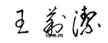 骆恒光王莉洁草书个性签名怎么写