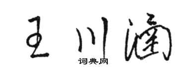 骆恒光王川涵草书个性签名怎么写