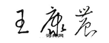 骆恒光王康农草书个性签名怎么写