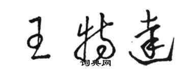 骆恒光王特达草书个性签名怎么写