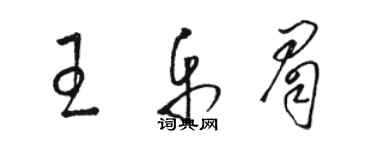 骆恒光王乐眉草书个性签名怎么写