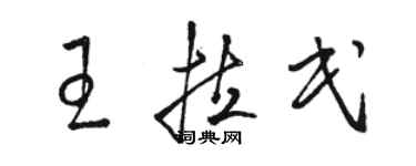 骆恒光王拉民草书个性签名怎么写