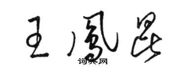 骆恒光王凤昆草书个性签名怎么写