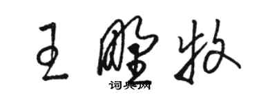 骆恒光王野牧草书个性签名怎么写
