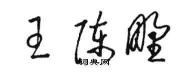 骆恒光王陈野草书个性签名怎么写