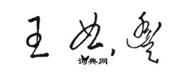 骆恒光王典丰草书个性签名怎么写