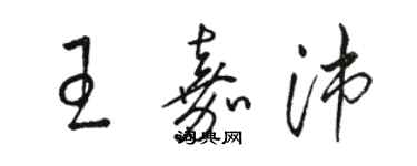 骆恒光王嘉沛草书个性签名怎么写