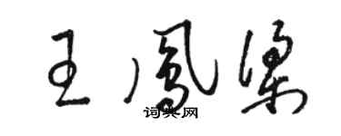 骆恒光王凤梁草书个性签名怎么写