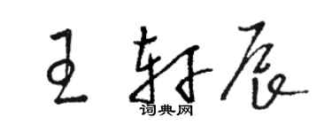 骆恒光王轩辰草书个性签名怎么写