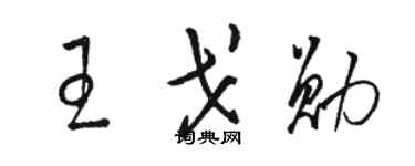 骆恒光王戈勋草书个性签名怎么写