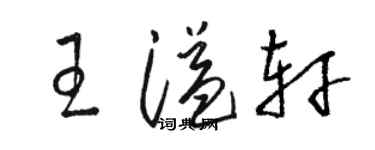 骆恒光王溢轩草书个性签名怎么写