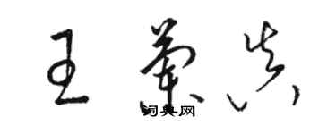 骆恒光王兰真草书个性签名怎么写