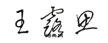 骆恒光王露思草书个性签名怎么写