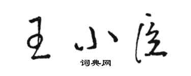 骆恒光王小臣草书个性签名怎么写
