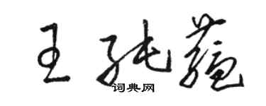 骆恒光王纯蕴草书个性签名怎么写