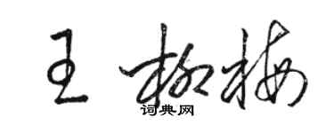骆恒光王柳梅草书个性签名怎么写