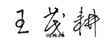 骆恒光王茂耕草书个性签名怎么写
