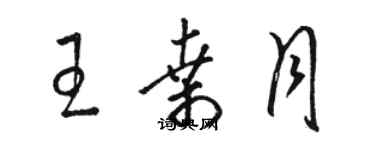 骆恒光王桑月草书个性签名怎么写