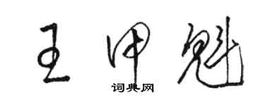 骆恒光王甲魁草书个性签名怎么写