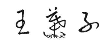 骆恒光王叶子草书个性签名怎么写