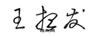 骆恒光王想发草书个性签名怎么写
