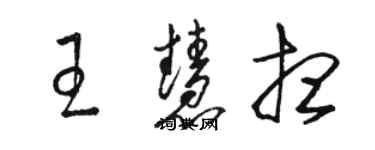 骆恒光王慧想草书个性签名怎么写