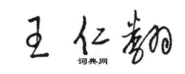 骆恒光王仁翻草书个性签名怎么写