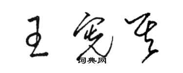 骆恒光王宪其草书个性签名怎么写