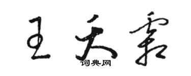 骆恒光王夭霜草书个性签名怎么写