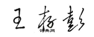 骆恒光王存彭草书个性签名怎么写