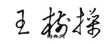 骆恒光王树操草书个性签名怎么写