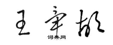 骆恒光王毕胡草书个性签名怎么写