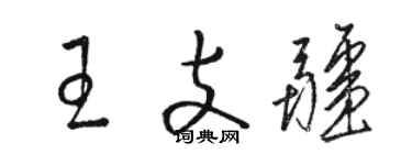 骆恒光王支疆草书个性签名怎么写
