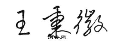 骆恒光王秉徽草书个性签名怎么写