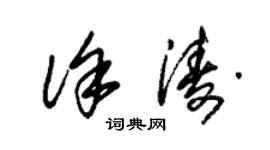朱锡荣徐涛草书个性签名怎么写